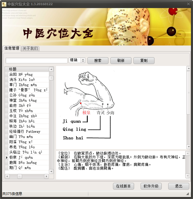 中医穴位查询系统1.02